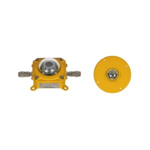 Explosion Proof Boundary Light