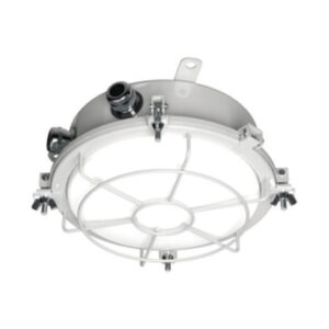 Pendant Light, CCD10-1D