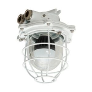 Pendant Light, CCD13-D