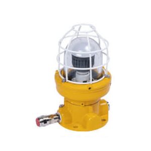 Explosion Proof Pendant Light, CFD1-D