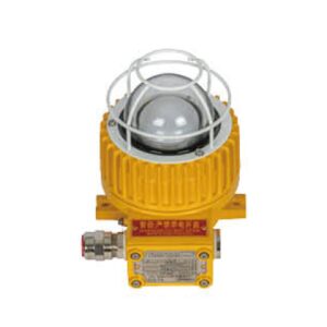 Explosion Proof Pendant Light, CFD11