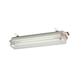 FS-W-U / FL-WSUS / FSW-U Surface Ceiling Light IP67
