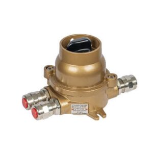 Explosion Proof Switch
