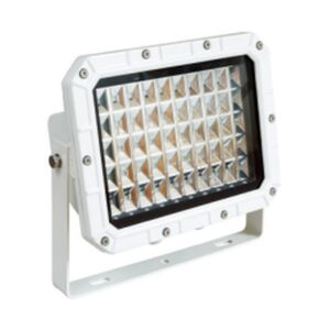 LED Flood Light, TG21-L