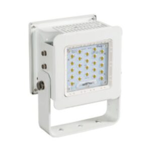 LED Flood Light, TG29-50 / TG29-100