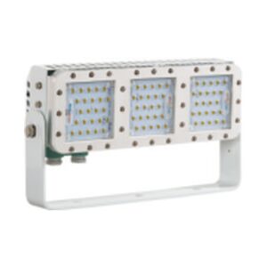 LED Flood Light, TG30-L-220 / TG30-L-440